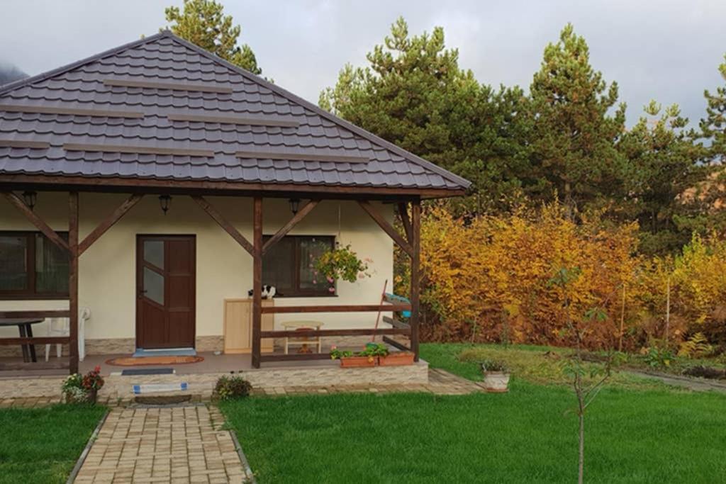 Limpedea Green House Baia Mare Exteriér fotografie