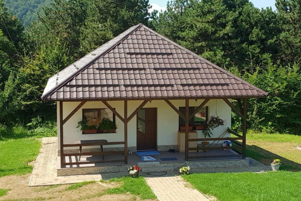 Limpedea Green House Baia Mare Exteriér fotografie